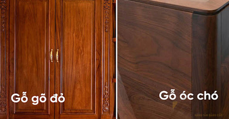 So sánh gỗ gõ đỏ và gỗ óc chó trong sử dụng làm đồ nội thất