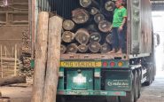 Công ty nội thất gỗ óc chó uy tín nhất tại Hà Nội